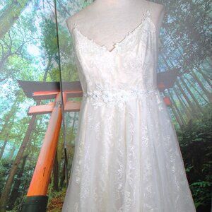 WEDDING DRESS IVORY W/LUREX 24W PLUS NWT (DAVIDS BRIDAL)